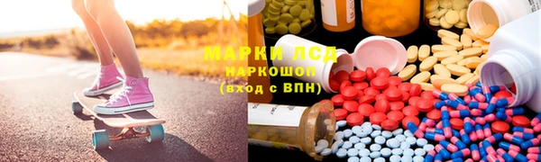 гидра Алексеевка