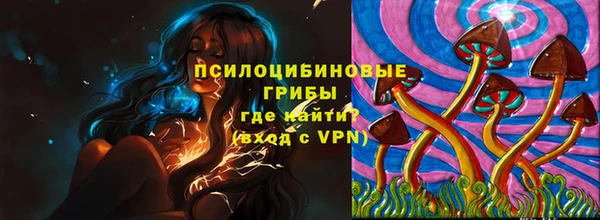 МДПВ Алзамай