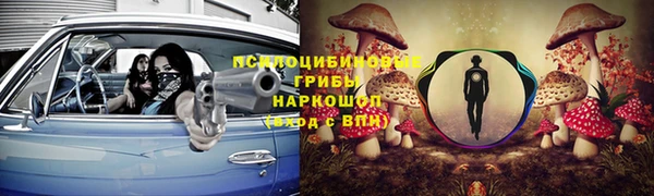 гидра Алексеевка