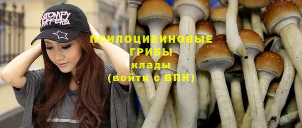 МДПВ Алзамай