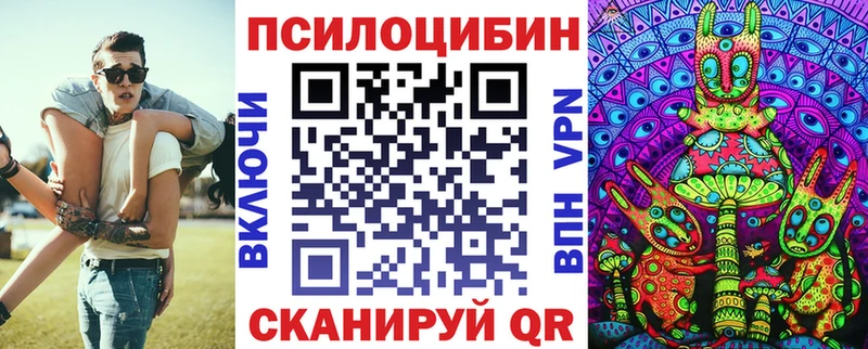 что такое наркотик  Елизово  Псилоцибиновые грибы GOLDEN TEACHER 